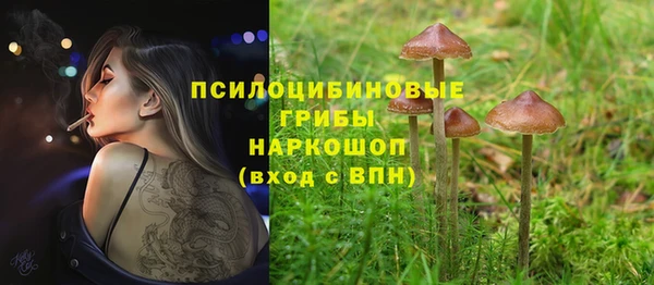 прущий лед Лиски